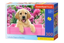 Puzzle Labrador - 300 pièces - Castorland 030071