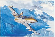 Maquette avion militaire : L-39ZA Albatros - 1/48 - Trumpeter 755805