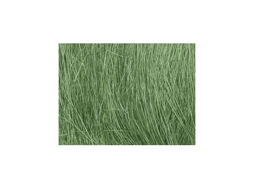 WOODLAND WOFG174 Herbe des champs de couleur verte 8 grammes
